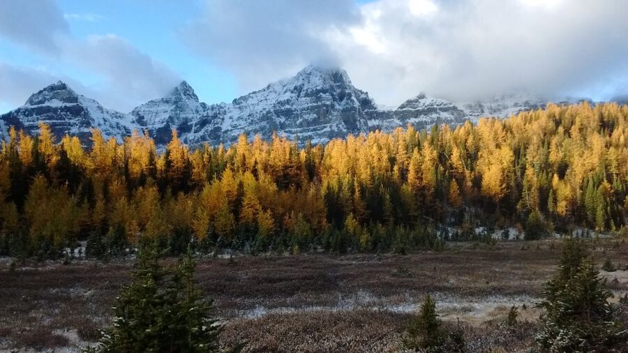 Moraine Lake & Larch Valley Hike - What a 7-hour day feels like, and how to plan your gear