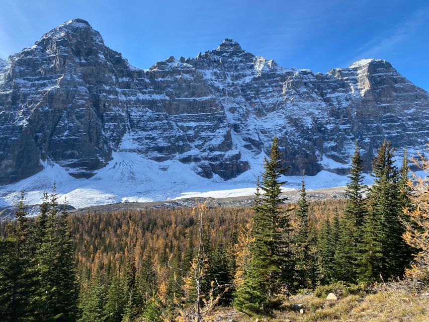 Moraine Lake & Larch Valley Hike - Price and value: is $137 for this Banff day worth it?