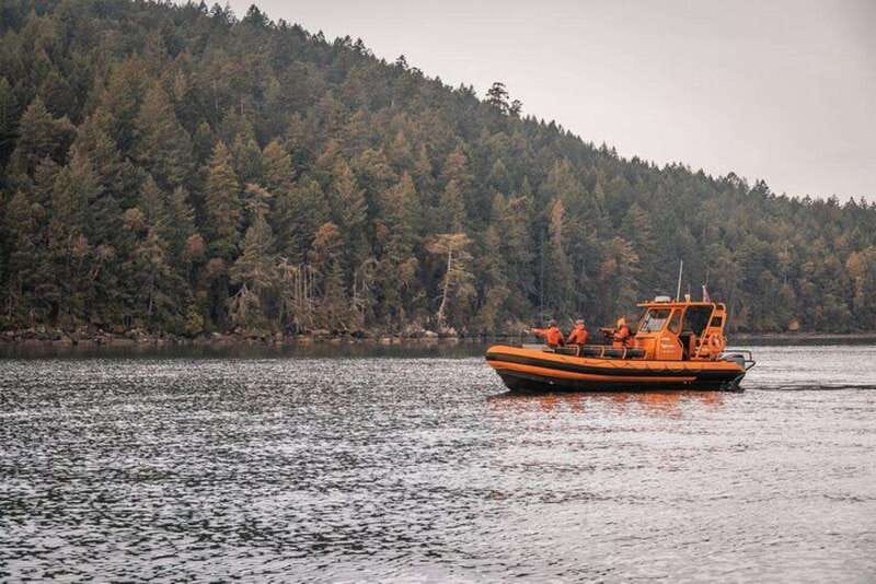 Nanaimo: Whale Watching Open Boat Tour - Why this Nanaimo whale watch works, even when the ocean gets moody
