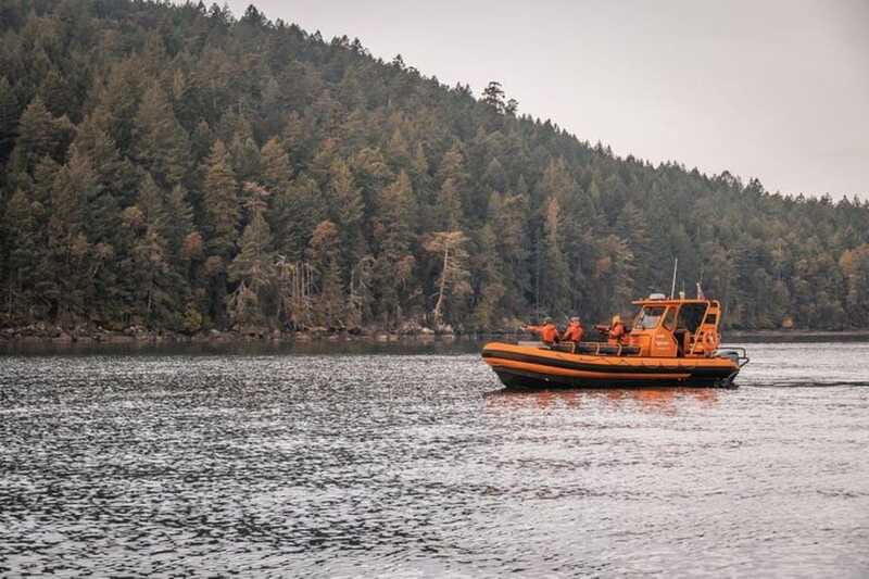 Nanaimo: Whale Watching Open Boat Tour - Rules and physical fit: who this is best for, and who should skip