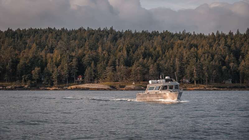 Nanaimo: Whale Watching Semi-Covered Boat Tour - The search strategy: healthy whales, efficient routing, and less wasted time