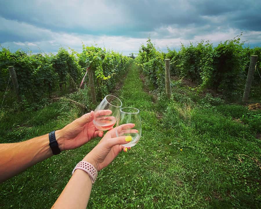 Niagara: A Twilight Wine Adventure With 3-Course Dinner - Key things that make this tour worth a look