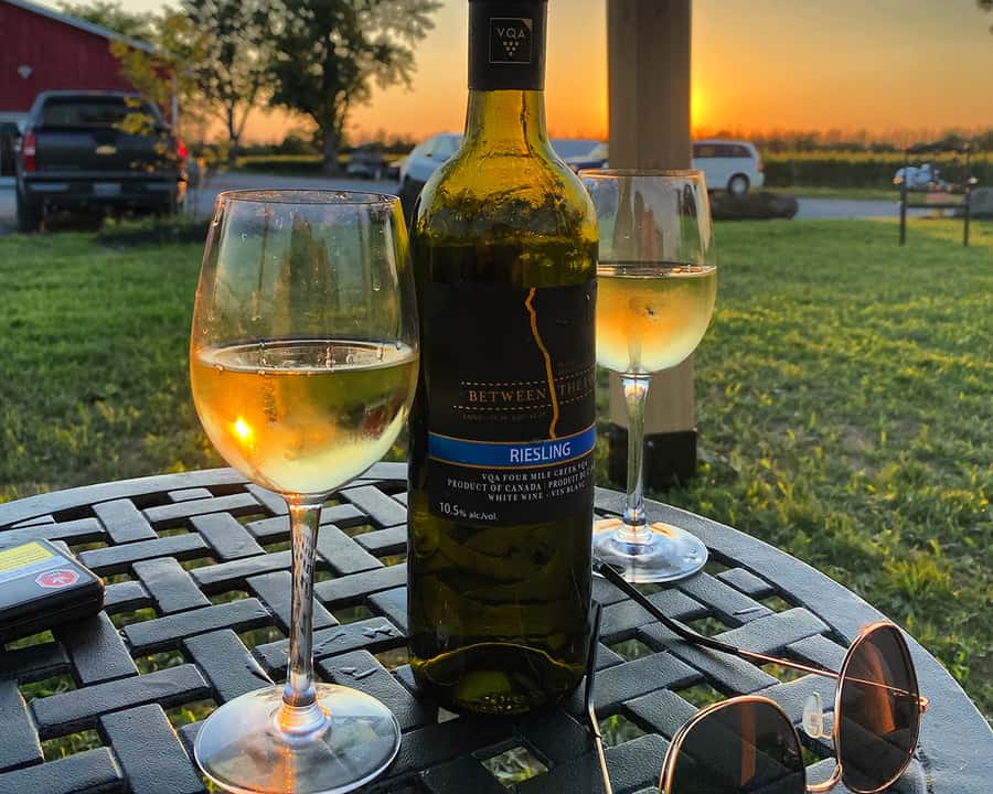 Niagara: A Twilight Wine Adventure With 3-Course Dinner - The Winery Lineup: Four Tastings Stops and About 12 to 16 Wines