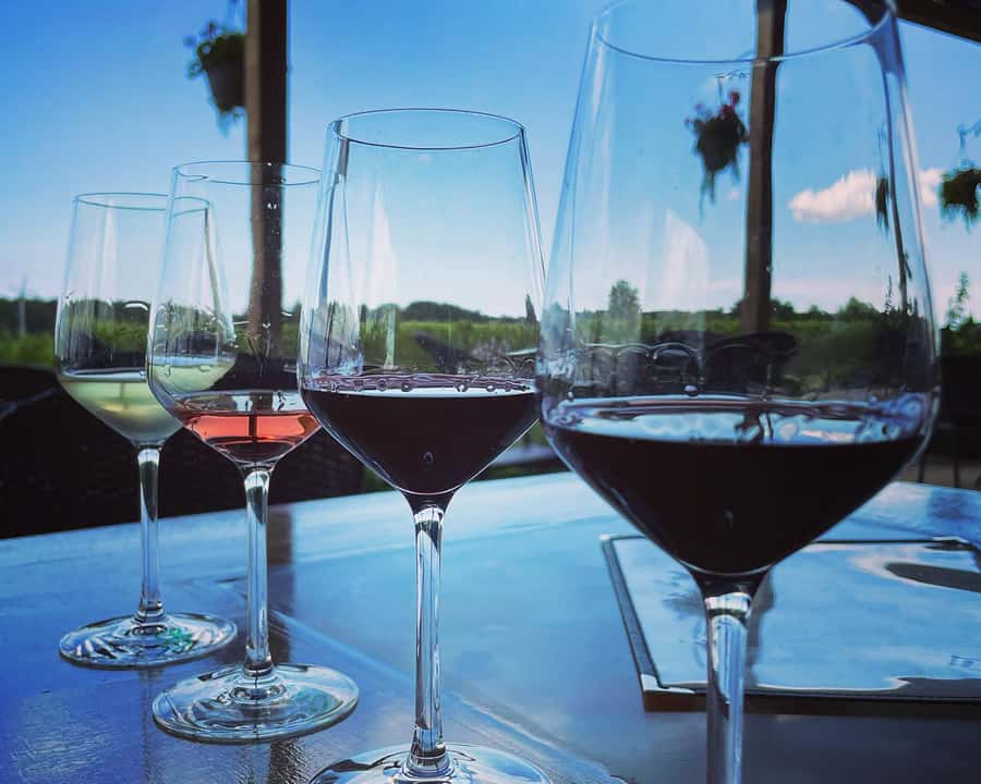 Niagara: A Twilight Wine Adventure With 3-Course Dinner - Who This Twilight Wine Adventure Fits Best (And Who Might Skip It)