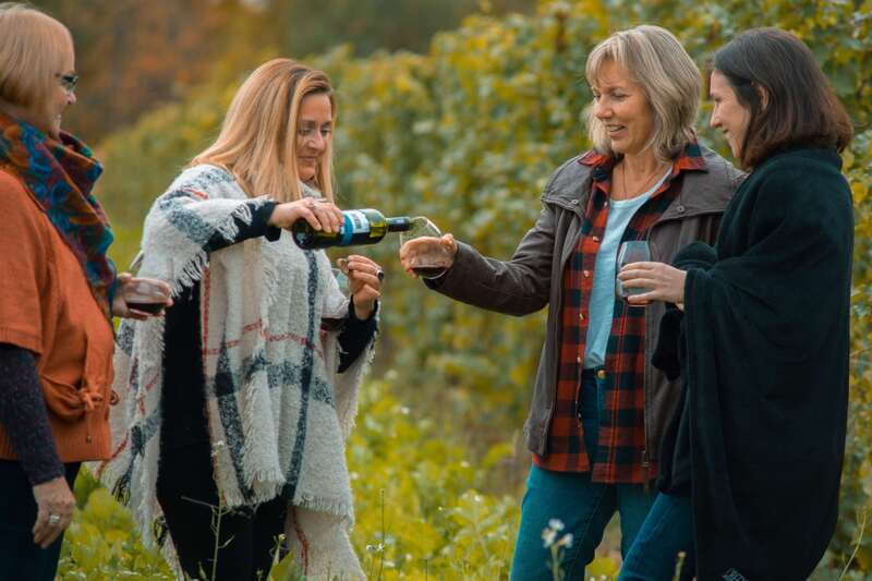 Niagara, Canada: Half-Day Winery Tour with Tastings - Why Niagara-on-the-Lake Works So Well in a Half-Day