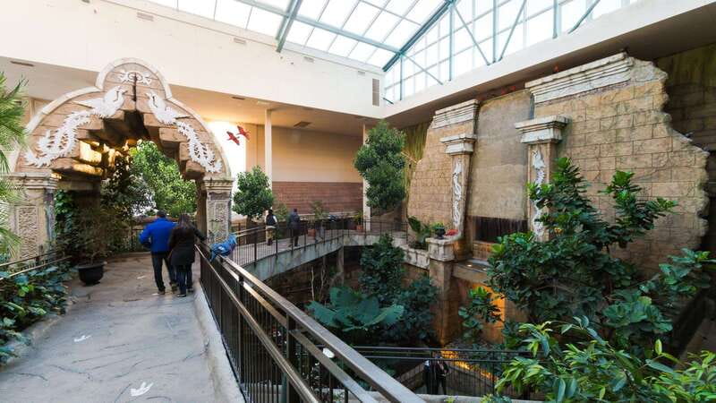 Niagara Falls, Canada: Bird Kingdom Entry Ticket - Timing and stamina: how to fit it into a Niagara Falls day