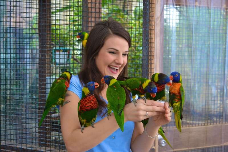 Niagara Falls, Canada: Bird Kingdom Entry Ticket - The free-flying indoor rainforest: your main hour of bird watching