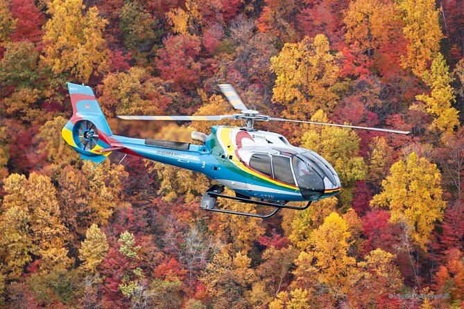 Niagara Falls Canada Helicopter Tour - Small Group Comfort: Seven People, Seats, and Less Waiting