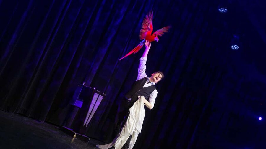 Niagara Falls, Canada: Wild Magic Show Ticket - After the curtain: meeting the magicians and taking the memory home