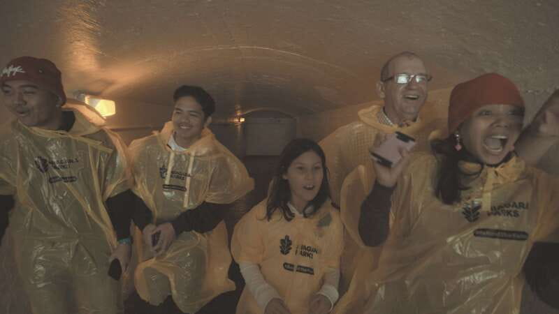 Niagara Falls: Day & Night Tour with Boat Ride and Dinner - Key highlights at a glance