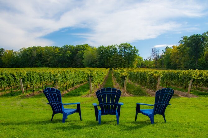 Niagara Falls Day Tour from Toronto (9 Hours) - Niagara in 9 Hours, minus the planning headache