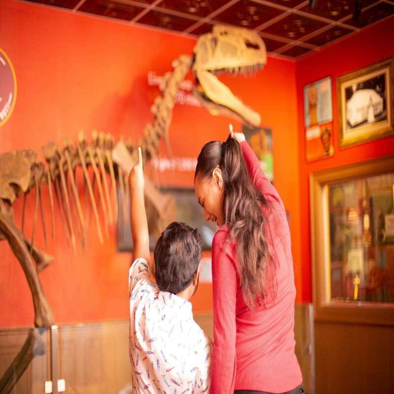 Niagara Falls: Ripley's Believe It or Not! Museum Entry - Clifton Hill Logistics: Getting In Without Losing Your Hour