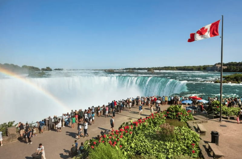 Niagara Falls Tour from Toronto with Optional Boat Cruise - Who this Niagara Falls tour suits best