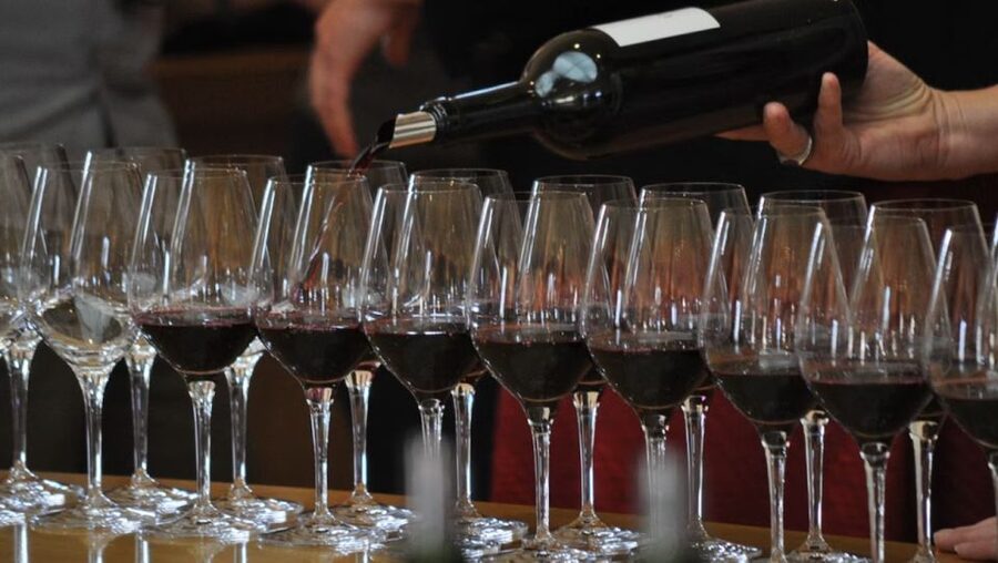 Niagara-on-the-Lake: Bicycle Tour with Wine Tasting - The guide and the pacing: where safety and fun meet