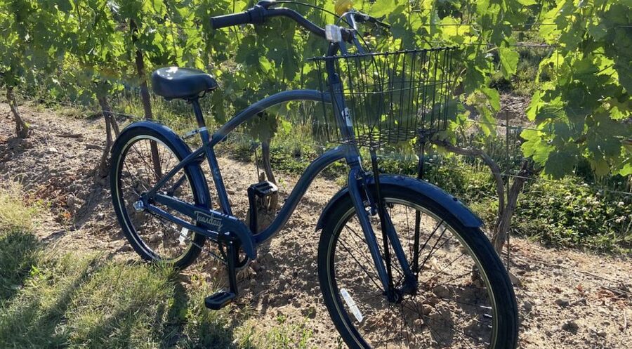 Niagara-on-the-Lake: Bicycle Tour with Wine Tasting - Who this Niagara-on-the-Lake bike and wine tour is best for