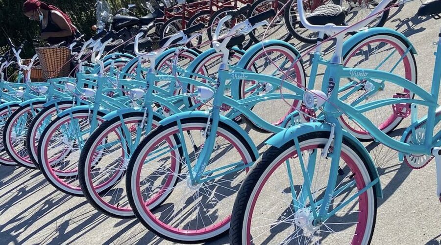 Niagara-on-the-Lake: Bicycle Tour with Wine Tasting - Should you book this half-day bicycle wine tour?