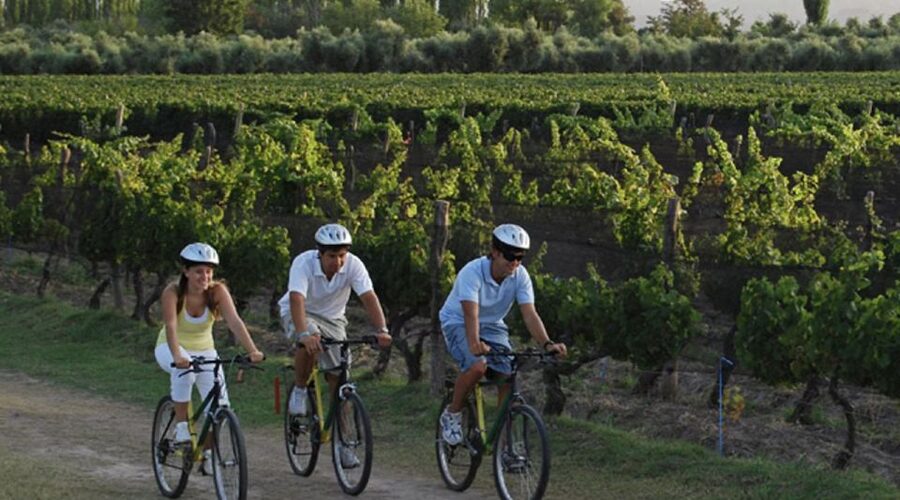 Niagara-on-the-Lake: Bicycle Tour with Wine Tasting - Winery tastings: what you get at each of the three stops