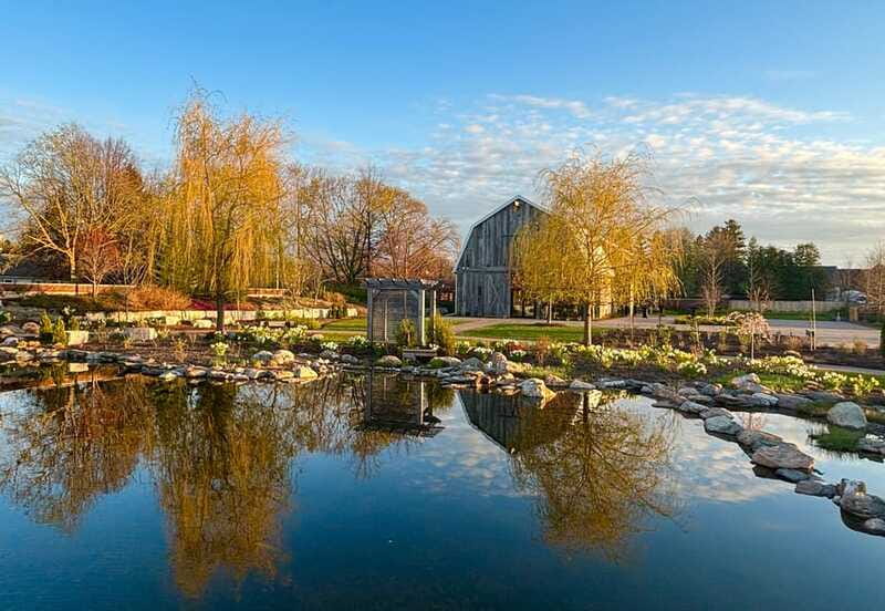 Niagara-on-the-Lake: Guided Walking Tour - A Wine Region Explained on Foot: 100+ Wineries and 67% of Canada’s Wine