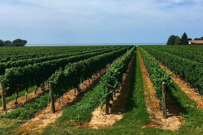 Niagara-On-The-Lake Guided Wine and Charcuterie Full-Day Tour - What You Actually Get for $134.43: Value in Tastings, Not Just Transport