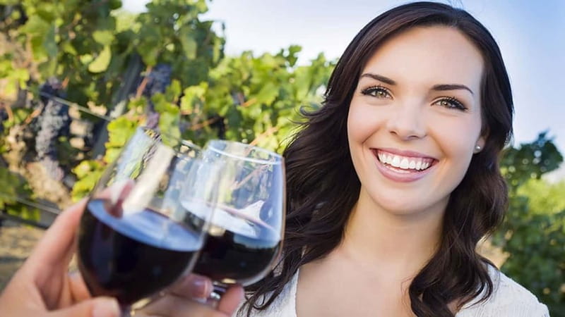 Niagara-on-the-Lake: Sunset Wine Tour with Dinner - Getting started: pickup, meeting point, and how the tour stays smooth