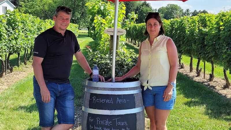 Niagara-on-the-Lake: Sunset Wine Tour with Dinner - Sunset drive: enjoying Niagara wine country without managing timing
