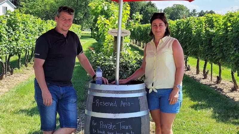 Niagara-on-the-Lake: Sunset Wine Tour with Dinner - Price and value: what $165 covers, and what it does not