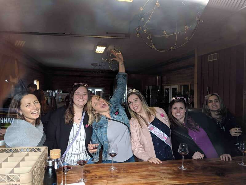 Niagara-on-the-Lake: Wine & Charcuterie Tour with Tastings - What you’ll taste: reds, whites, sparkling, and ice wine
