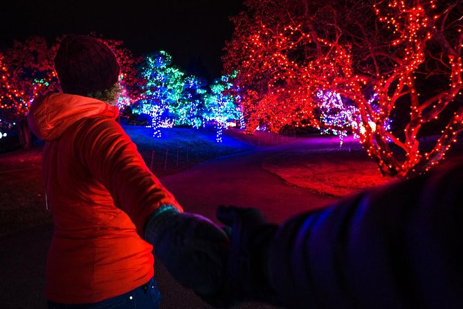 Nikka Yuko Japanese Garden Winter Light Festival - How the 6pm to 9pm timing window helps you plan