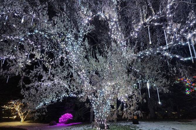 Nikka Yuko Japanese Garden Winter Light Festival - The garden at night: what the 170,000 lights really do