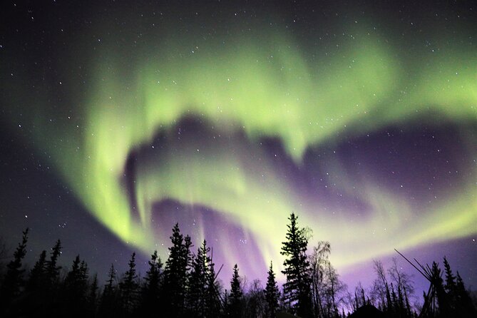 Northern Lights Tour Yellowknife - Comfort on a coach bus, and what to expect at the stops