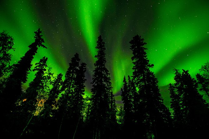 Northern Lights Tours - Entering The Yellowknife Aurora Routine (Pickup, Timing, and Group Size)