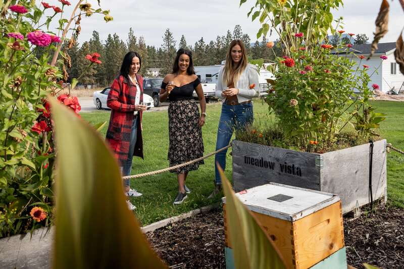 Okanagan Bee Tour, Wine Tasting and Lunch at Kelowna Winery - Bee Tour Meets Honey Wine, in the Okanagan
