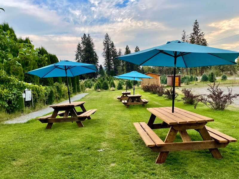 Okanagan Bee Tour, Wine Tasting and Lunch at Kelowna Winery - Honey Wines: Award-Winning Flavor, Guided and Simple