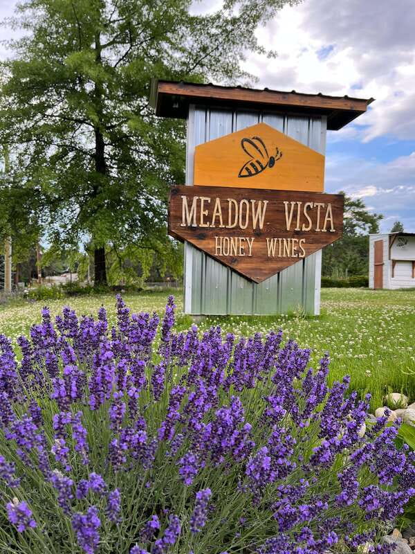 Okanagan Bee Tour, Wine Tasting and Lunch at Kelowna Winery - Lawn Games and Okanagan Downtime