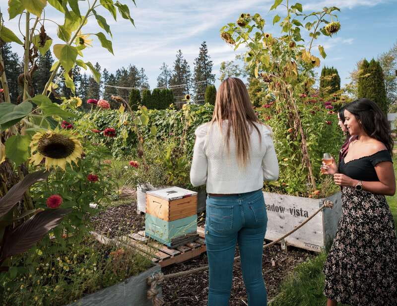 Okanagan Bee Tour, Wine Tasting and Lunch at Kelowna Winery - How Much Value Is This at About $50?