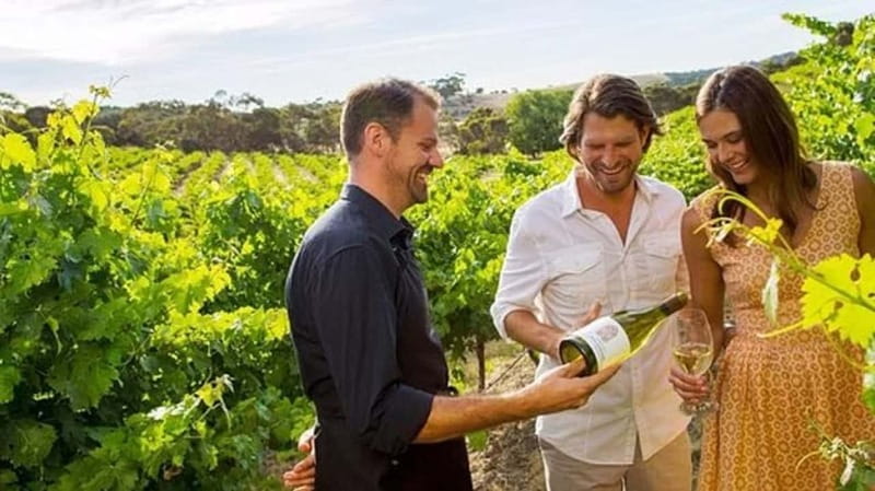 Ontario: Afternoon Wine Tour and Cheese Pairing - Key highlights worth your time