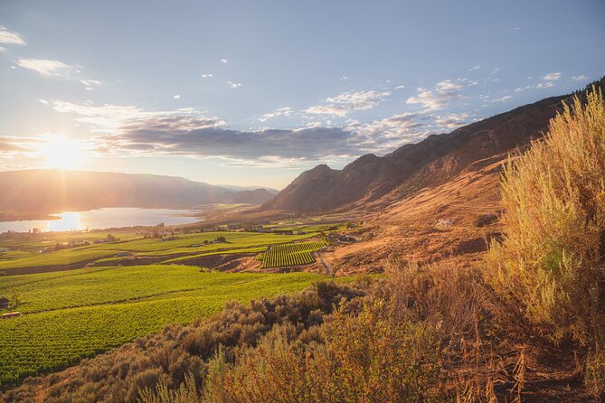 Osoyoos Half Day Wine Tour (Incl. Tasting Fees & Guide Gratuity!) - The 4-Hour Schedule, and Why It Feels Just Right