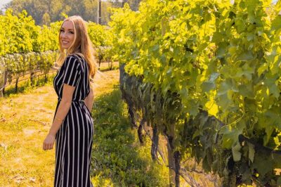 Osoyoos Half Day Wine Tour (Incl. Tasting Fees & Guide Gratuity!)