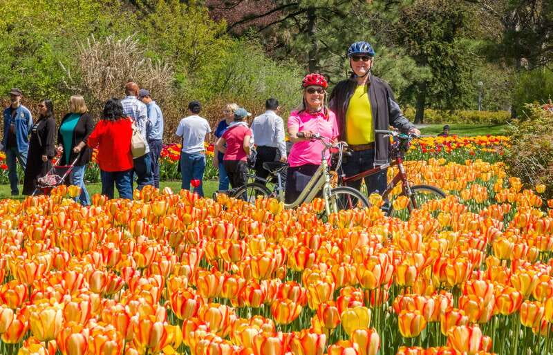 Ottawa: 2 or 3.5-Hour Guided Bike Tour with a Local Guide - Why Ottawa Changes When You Ride Instead of Walk