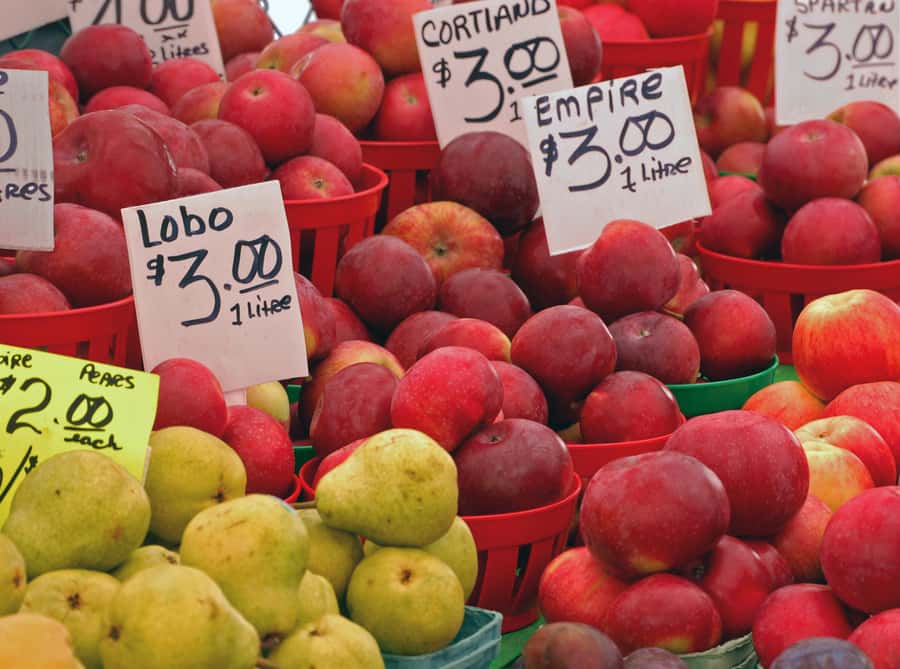 Ottawa: ByWard Market Food Tour with 7 Local Tastings - Key reasons this tour earns repeat bookings
