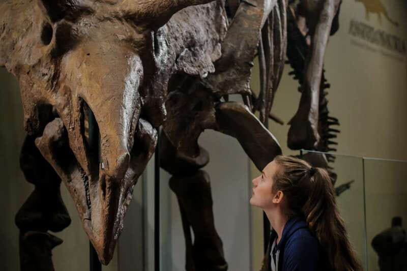 Ottawa: Canadian Museum of Nature Admission - Price and Logistics: What $19 Buys You
