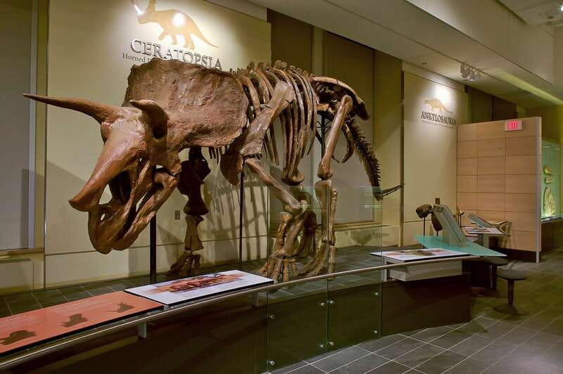 Ottawa: Canadian Museum of Nature Admission - Live Exhibits: Pacific Tide Pools and Bugs Alive
