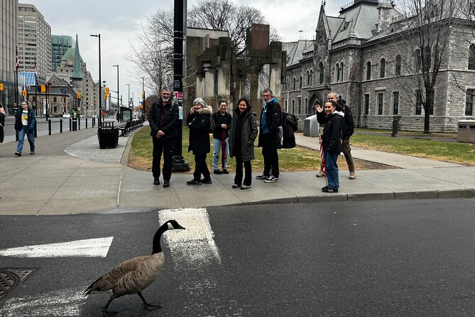 Ottawa City Highlights 3 Hour Walking Tour | Gratuity-Based - How the pacing works for real people