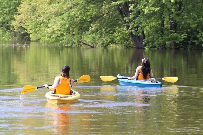 Ottawa: Ecological Reserve Kayak Tour with Turtle Sightings - Key highlights to look for