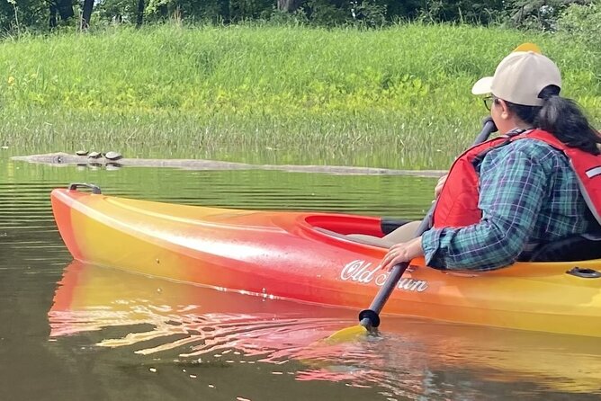 Ottawa: Ecological Reserve Kayak Tour with Turtle Sightings - Meeting at Tweddle Rd: easy to find, quick to start