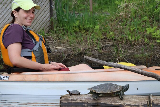 Ottawa: Ecological Reserve Kayak Tour with Turtle Sightings - Price and value for $47: what you are really paying for