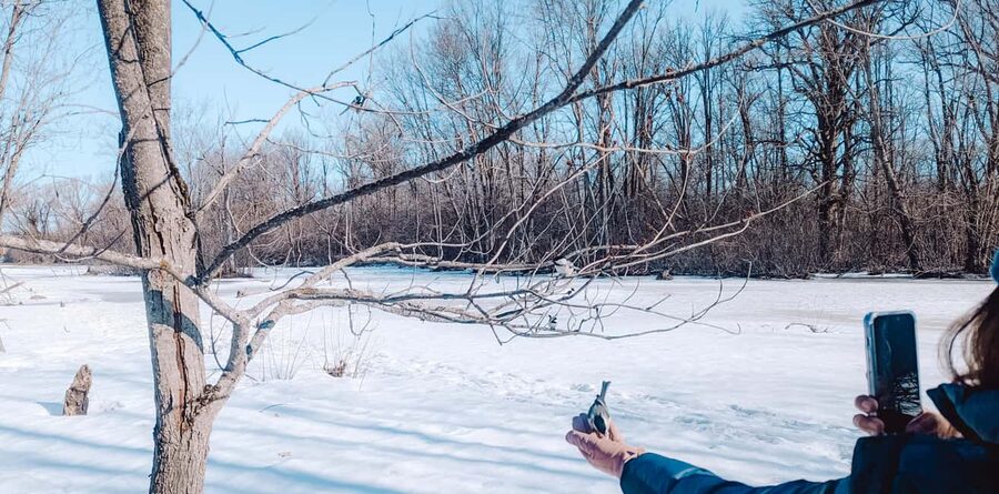 Ottawa: Guided Nature Walk & Wildlife Tour with Hotel Pickup - What you might see in Ottawa woods and near water