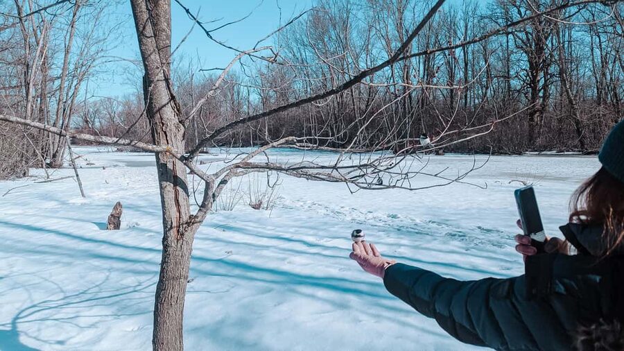 Ottawa: Guided Nature Walk & Wildlife Tour with Hotel Pickup - Camera time: what to photograph and how to not miss the good stuff