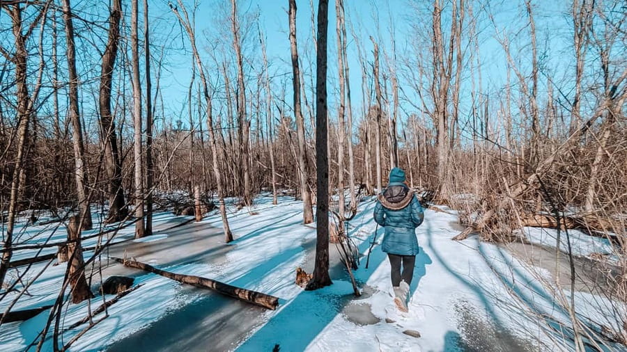 Ottawa: Guided Nature Walk & Wildlife Tour with Hotel Pickup - Should you book? My call
