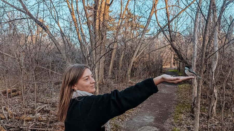 Ottawa: Guided Nature Walk & Wildlife Tour with Hotel Pickup - The 1.5-hour guided wildlife walk, with hand-feeding chickadees